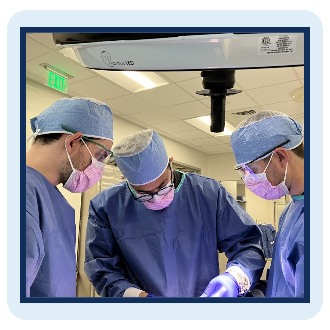 myEmma image graphics - surgical lab
