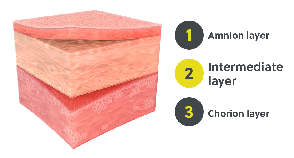 Biotivity A/C Plus Membrane with Layers