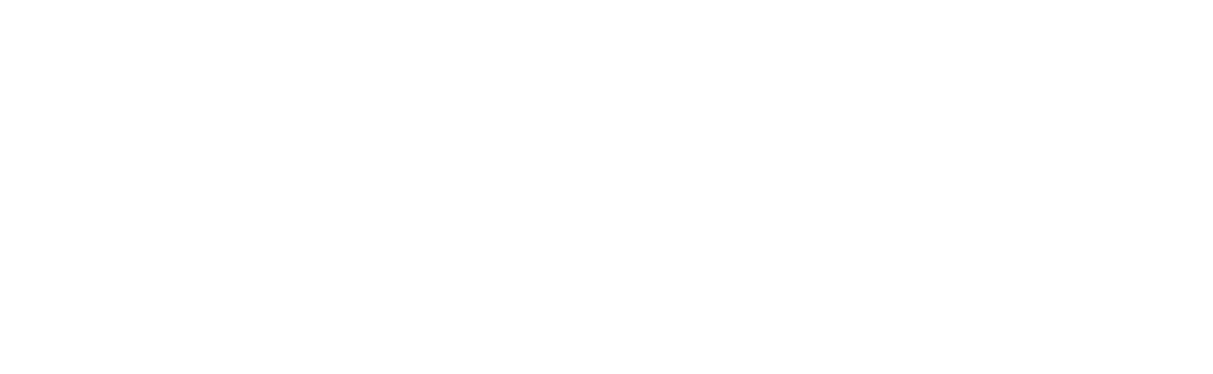 DSD & ZimVIe Logos