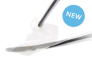 RegenerOss Bone Graft Plug Featured