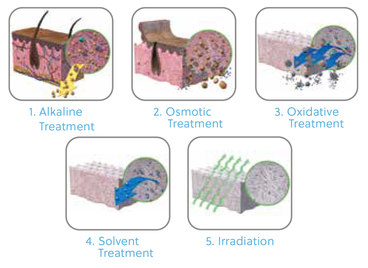 ZimVie Unique Tutoplast Process