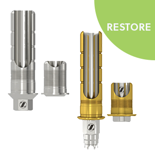 Express and Flex Abutments