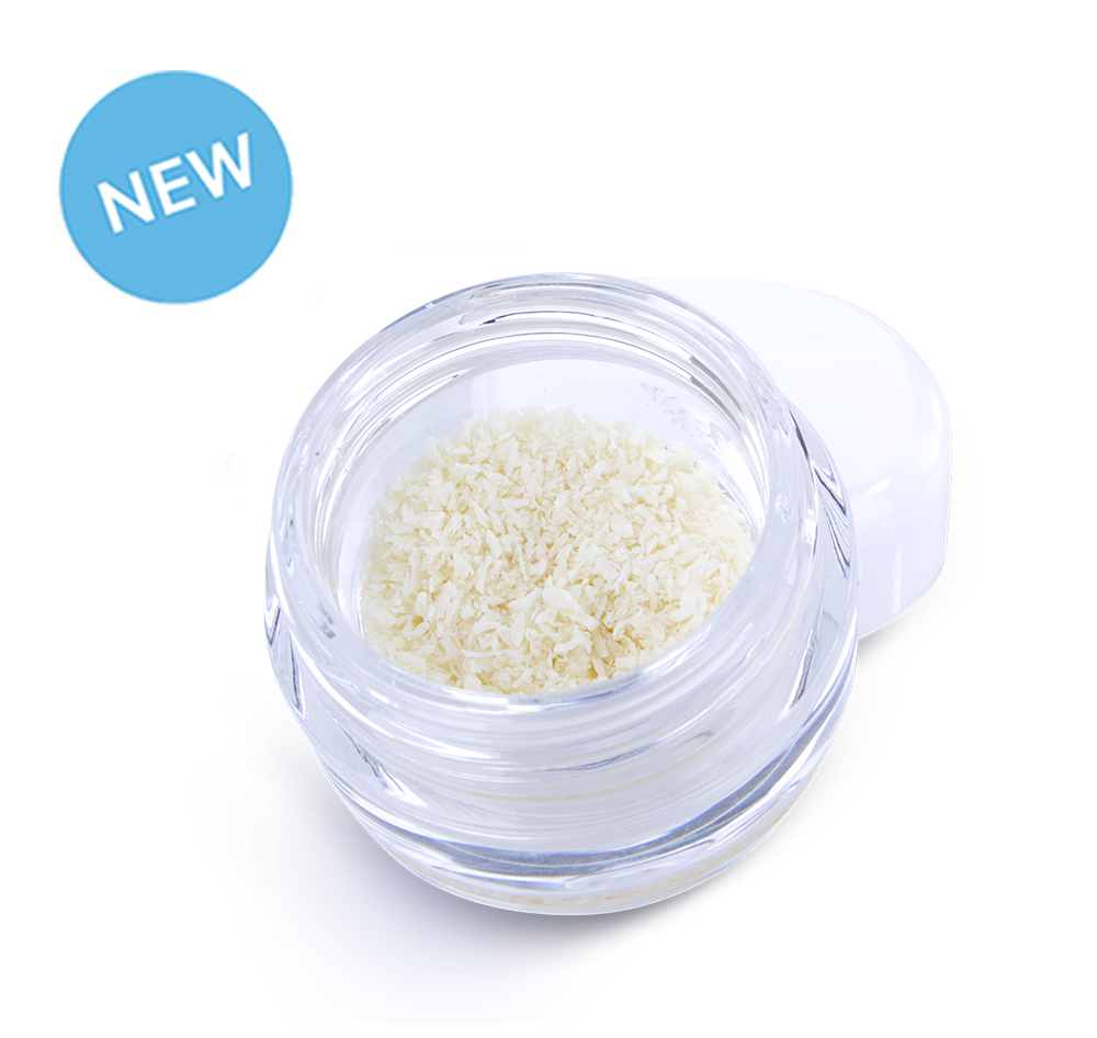 A clean, professional shot of the new ZimVie RegenerOss® Cortical Particulate, an allograft bone graft substitute. The image displays the pure cortical bone material in a clear, small jar with a white cap, highlighting its finely-milled, particulate form. This dense, cortical allograft is ideal for dental bone regeneration procedures that require a slow-resorbing scaffold, such as ridge augmentation and sinus lifts, providing structural stability and long-term volume maintenance.
