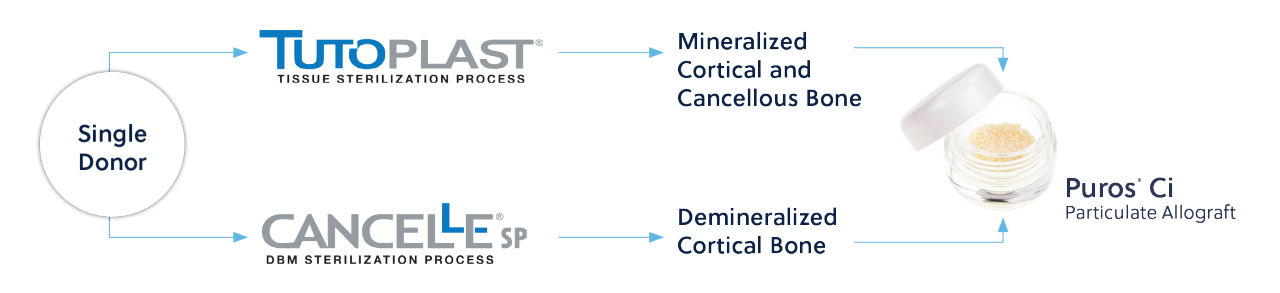 Puros® Ci Particulate Allograft Process