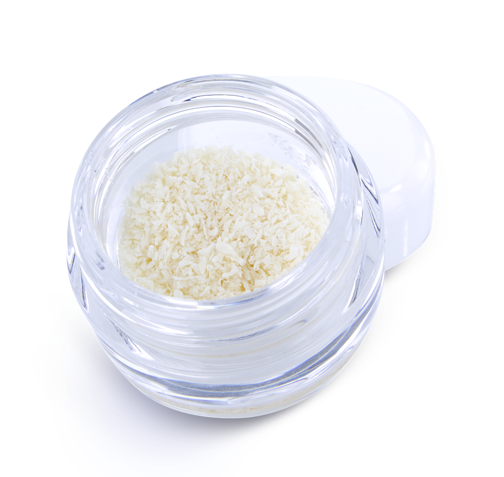 A product shot of a clear jar filled with ZimVie RegenerOss Cortical Particulate. The image displays the granular dental allograft bone material used in various regenerative procedures, such as grafting and bone reconstruction.