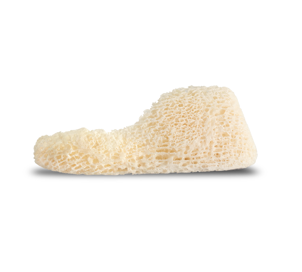 ZimVie Dental Biomaterial Solutions Puros Allograft Customized Block NA