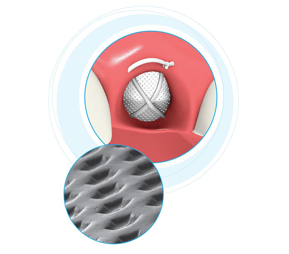 Hero jumplink image