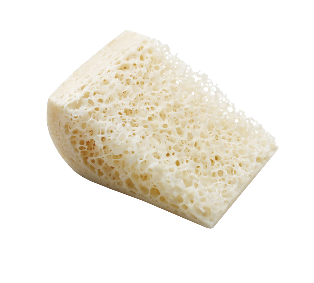 ZimVie Dental Biomaterial Solutions Puros Block Allograft NA