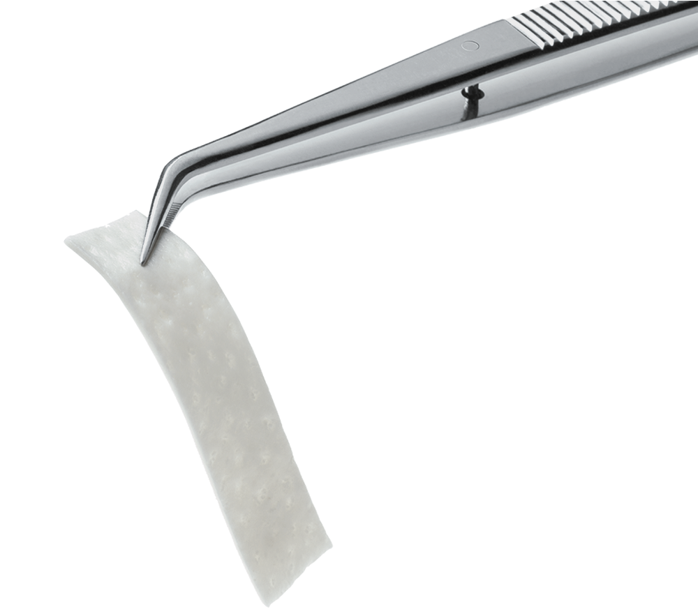 ZimVie Dental Biomaterial Solutions Puros Allograft Tissue Matrix NA