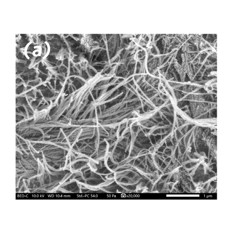 SEM images at 20,000x magniﬁcation of Bone