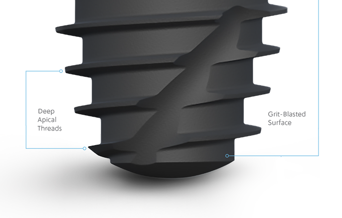 Promotes Osseointegration - Below the DAE area, the Grit-Blasted Surface texture (Sa:0.8-1.8 μm) enhances the attachment and retention of bone cells.