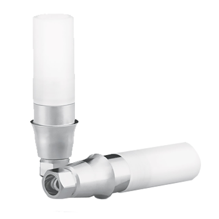 Custom and CAD/CAM Abutments**